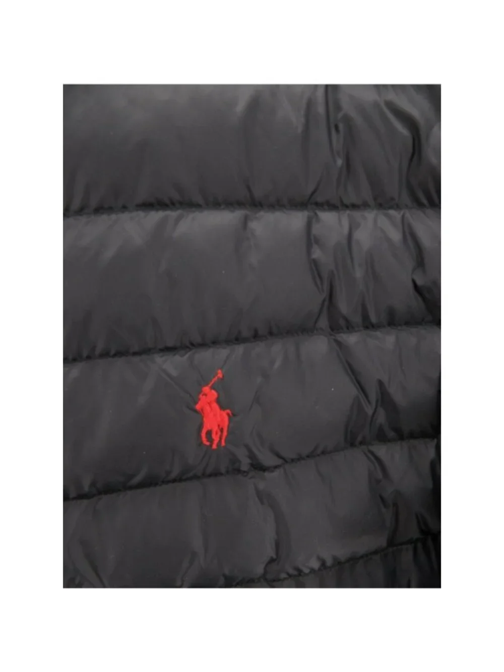 Polo Ralph Lauren brand polo